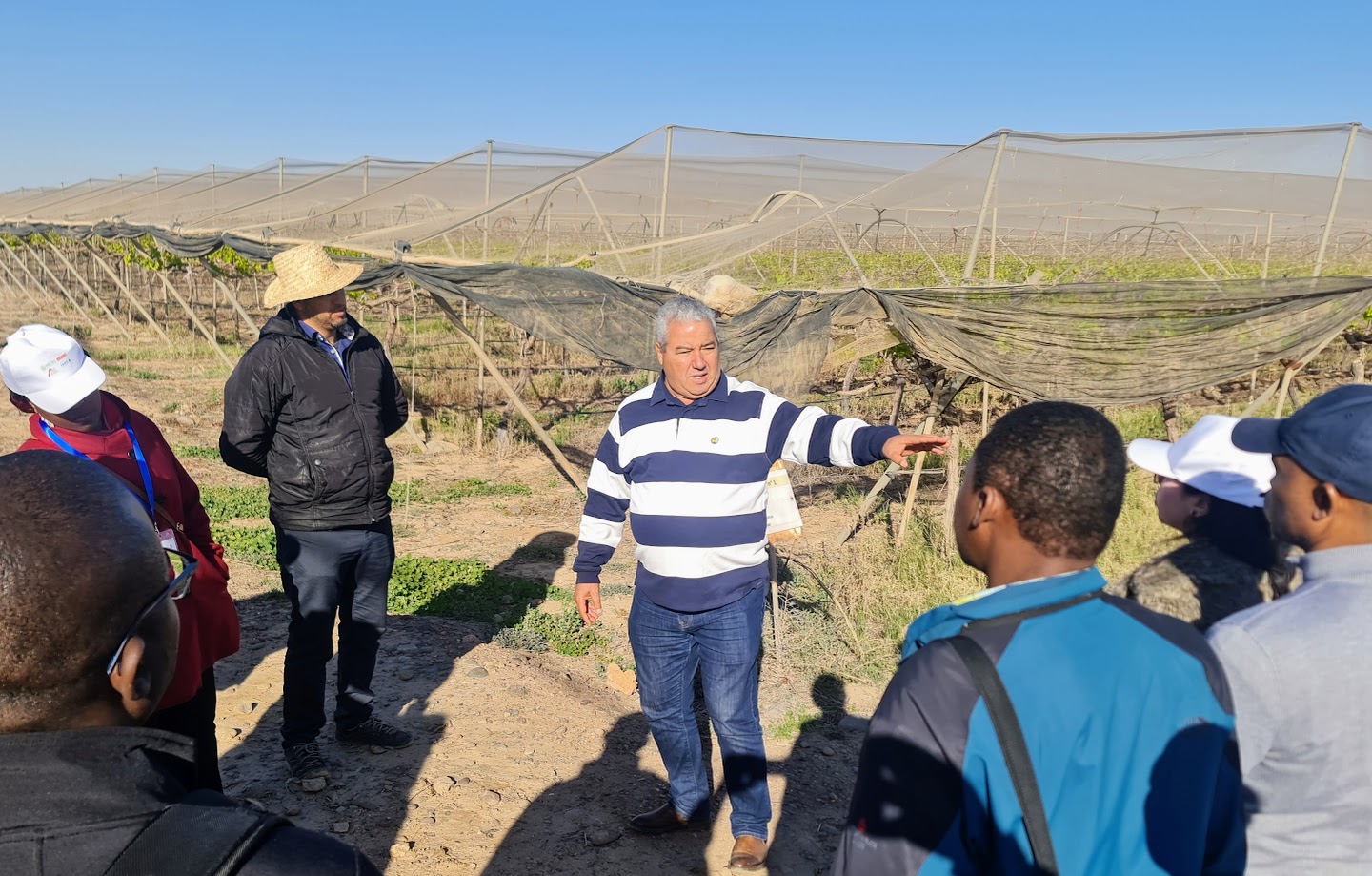 AAHC-visitas-uva-3|AAHC-Poscosecha-Art|Hanafi-2 (1)|AAHC2024-grupo-todos|AAHC-posters|AAHC-Organizadores-Cirad (1)|AAHC_FAO-2|AAHC-1.6|AAHC-Biopesticidas|20240301_141647|AAHC-divers